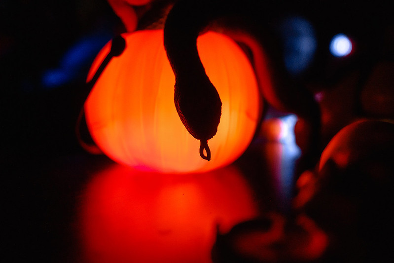 Украшение дома паутиной и летучими мышами к Хэллоуину в Krasnodar